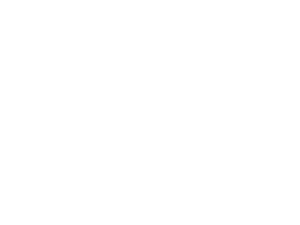 SOKO Aesthetics and Wellness Med Spa in Leawood KS Logo