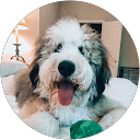 Sheila W. profile picture